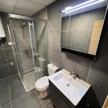 One Bedroom With Parking Near Hilton Apartman *